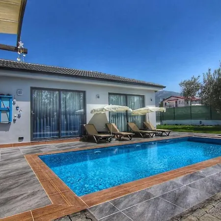 Wayne Villa